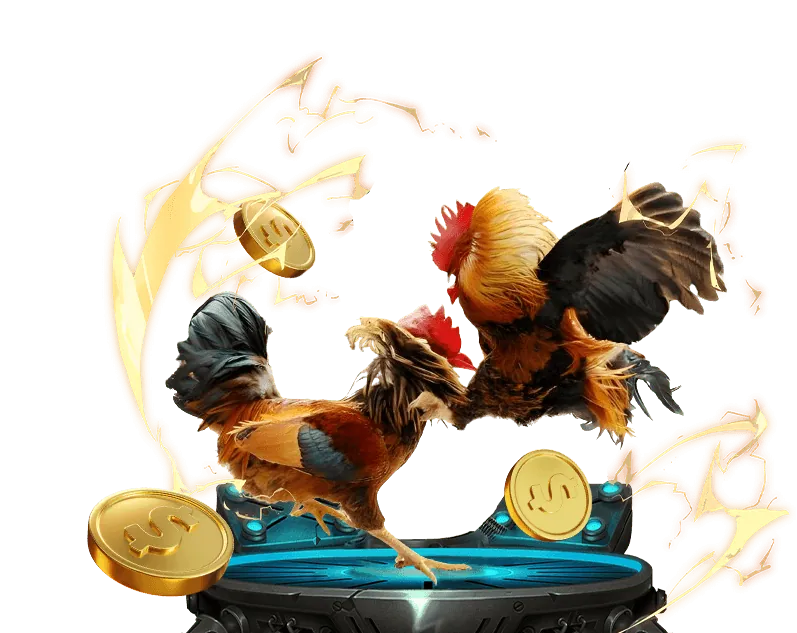 Quy trình hoạt động hoàn trả 79 Win